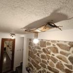 Полилеи от автентични дъбови бъчви с 1 ръчно изработена дървена чашка!