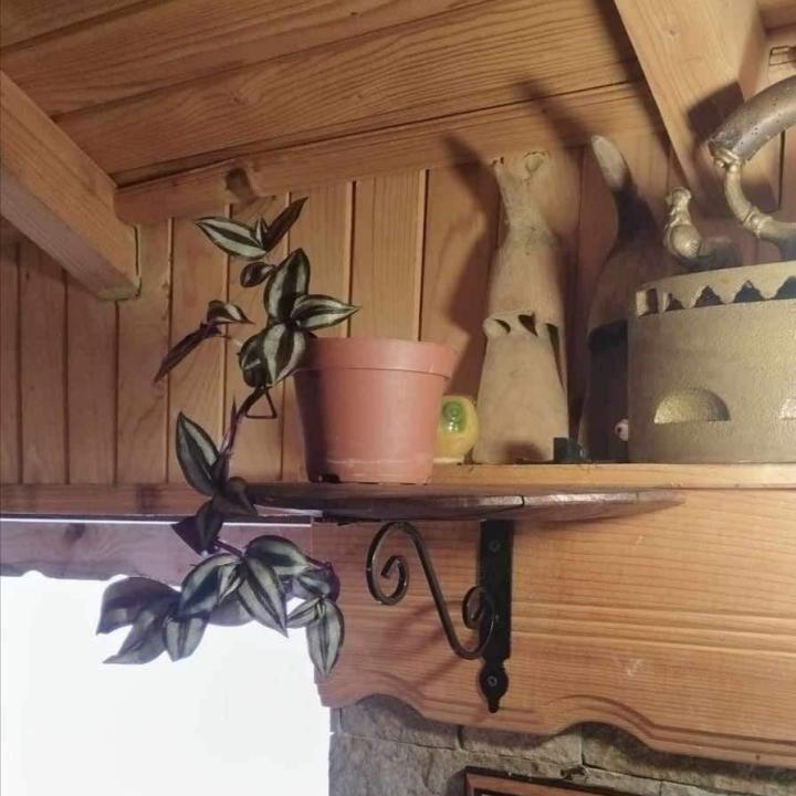 Етажерки-цветарници от дъбов масив(автентични бъчви) с ковано желязо!