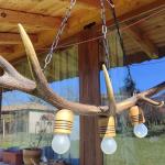 Ръчно изработен полилей от рога на елен  с  3  ръчно изработени дървени чашки!