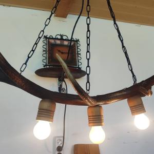 Ръчно изработен полилей от рога на елен  с  3  ръчно изработени дървени чашки!